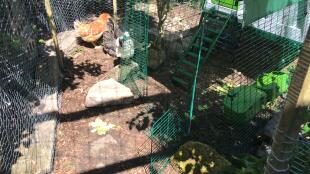 Omlet Eglu Cube grande pollaio e corsa
