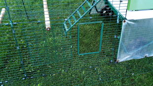 Omlet verde Eglu Go up sollevato pollaio e correre