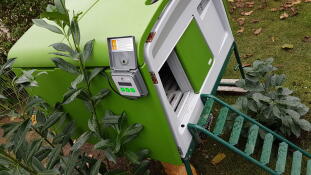 Omlet verde Eglu Cube grande pollaio con Omlet porta automatica per pollaio