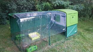 Grande verde Cube pollaio con una corsa e copertura sopra e mangiatoie grub attaccato