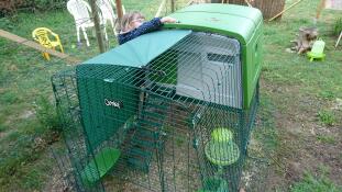Omlet verde Eglu Cube grande pollaio e corsa in giardino