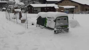 Un Omlet Eglu Cube pollaio coperto dal Snow.