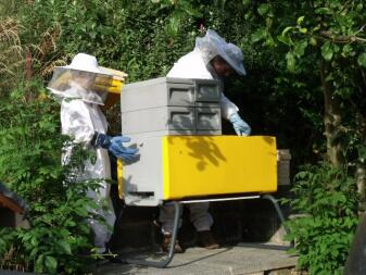 Beehaus in giallo sole, nella valle Rossendale