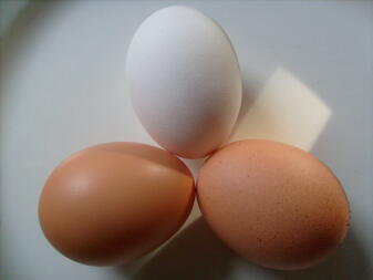 Tre uova