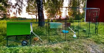 Un pollaio e un recinto attaccato a un grande recinto