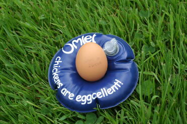 Il nostro primo vero uovo di Louis - È stato con noi solo per 4 giorni!