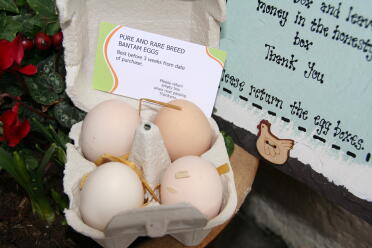 Uova speciali in una scatola speciale!
