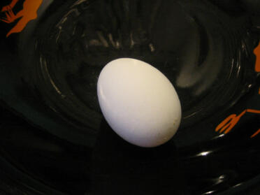 Il primo uovo di Bella!
