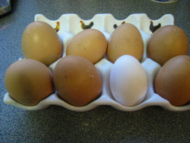 Molte uova deliziose