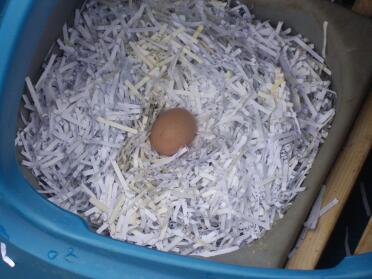 Il nostro primo uovo. Il miglior uovo di Pasqua di sempre!