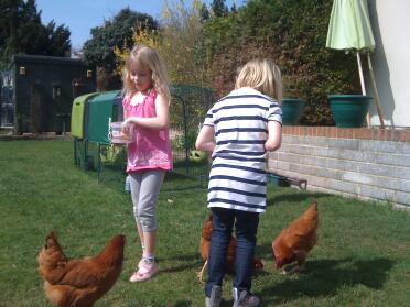 Lucy & holly danno da mangiare alle galline.