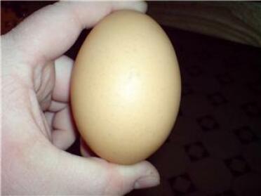 L'enorme uovo da 129 g