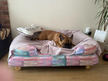 Belle adora il suo nuovo letto!