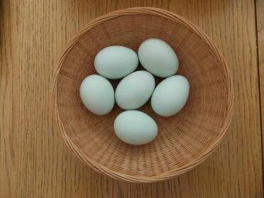 Uova alla crema di legbar