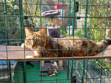 Giocare in sicurezza nel percorso Omlet.