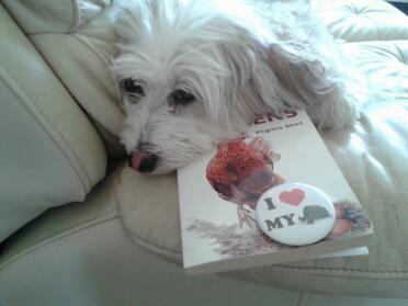 molly il cane che ammira la copertina del carattere del libro dei polli