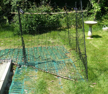 Quando si usa la rete per polli Omlet ho avuto difficoltà a fissare il cancello. due pezzi di bambù risolvono il problema