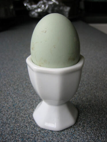 Primo uovo frizzante