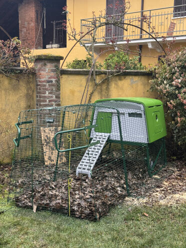 Pollaio in posizione finale