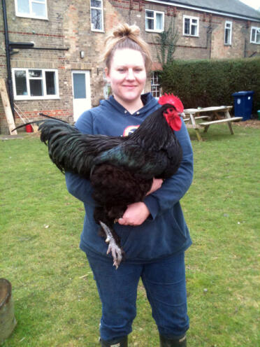 Una donna che tiene un gallo da premio!