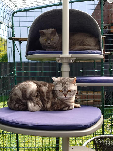 Rory e bella che si rilassano 💞