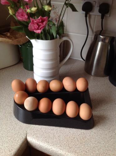 La rampa delle uova contiene 12 uova