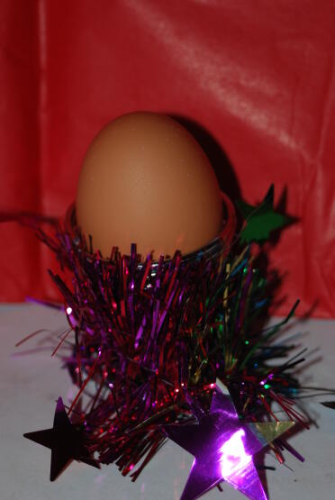 Il nostro primo uovo - consegnato il 23 dicembre 2007 ed era delizioso