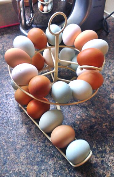 L'egg skelter è il modo perfetto per mostrare le mie belle uova mentre le tenGo in ordine di data. lo adoro!