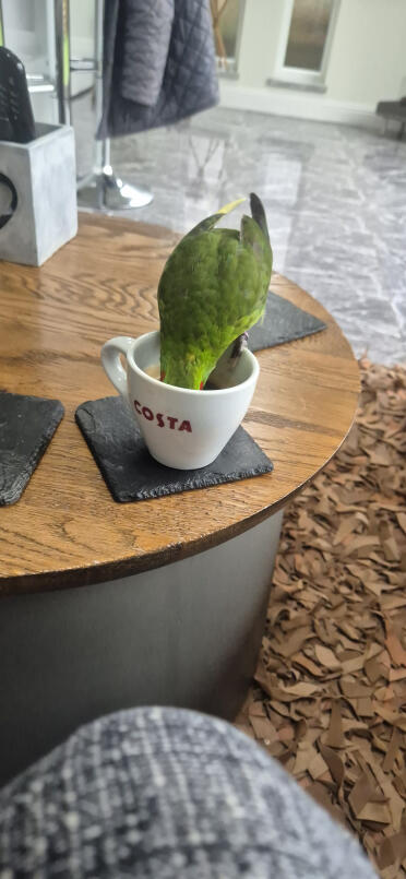 Pausa caffè!