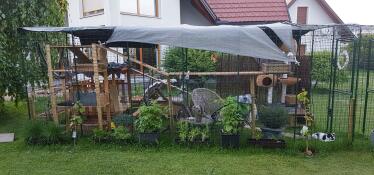 Un grande catio con molti accessori circondato da piante