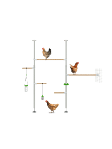 Poletree sistema di trespolo per galline con sistema di montaggio per galline