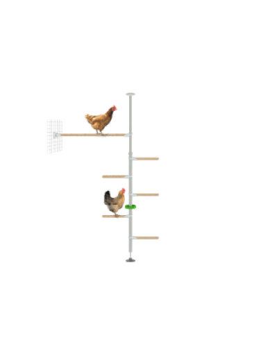 Poletree sistema di trespoli per polli per la corsa dei polli - il kit hendurance