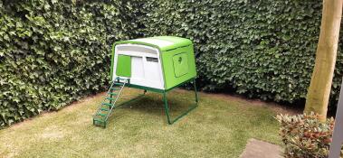 Una coop verde nell'anGolo di un giardino