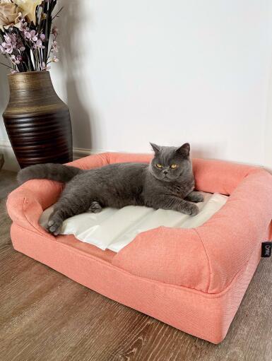 Un gatto che riposa su un tappetino fresco che si trova su un letto per gatti.