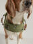 Cane beagle in joules oliva ape cappotto resistente all'acqua Cane beagle in joules oliva ape cappotto resistente all'acqua