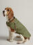 Cane che indossa il cappotto di pioggia del cane di joules Cane che indossa il cappotto di pioggia del cane di joules