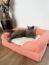 Un gatto che riposa su un tappetino fresco che si trova su un letto per gatti.