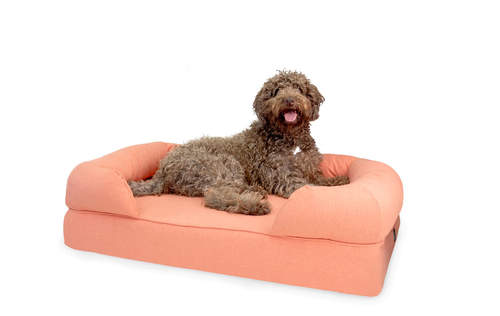 Un grande cane marrone seduto su un grande letto rosa in memory foam bolster bed bolster bed