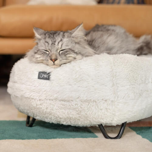 Gatto che dorme su un'elegante e morbida cuccia maya donut bianco neve con piedini a forcella neri in metallo