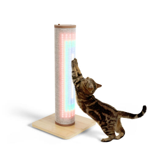Switch tiragraffi in sisal illuminato per gatti - crema