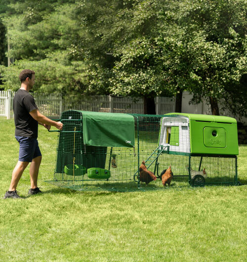 Un uomo che sposta il suo pollaio Eglu Cube 