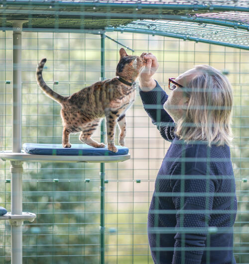 Un uomo che trascorre del tempo con il suo gatto sull'albero per gatti all'aperto Freestyle 