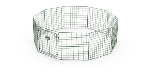 Zippi porcellino d'india playpen corall starter pack - altezza sinGola bassa