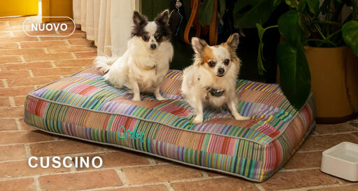 Dog walk collection cuscino per cani