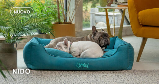 Letto per cani dog walk collection nest