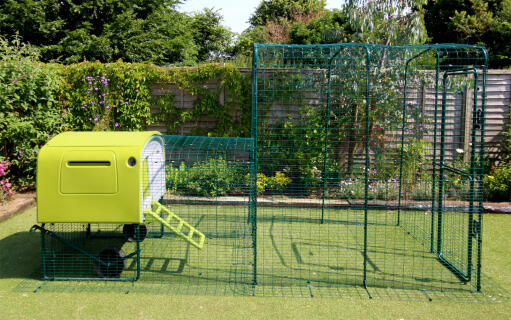 Il Eglu Cube con corsa attaccato a una passeggiata in pollaio utilizzando un kit di collegamento