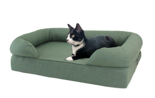 Omlet letto a cuscino in memory foam per gatti in verde salvia con gatto sdraiato su di esso