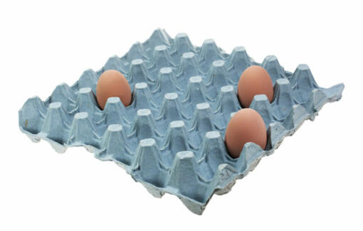 Vassoi di uova blu con tre uova