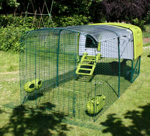 Verde Eglu Cube pollaio con corsa e copertura trasparente in giardino