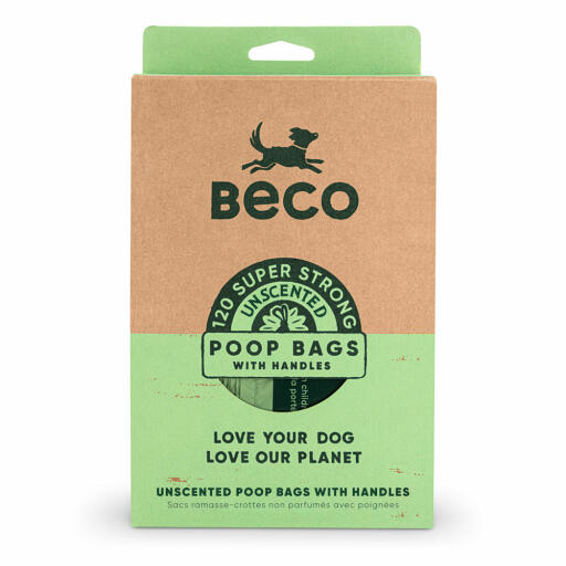 Beco sacchetti per la cacca del cane